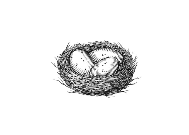egg nest art